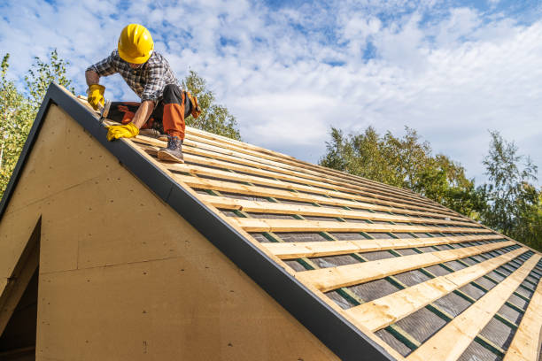 Best Roof Gutter Cleaning  in Depew, NY